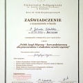 Powiększ obraz: certificate 11