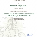 Powiększ obraz: certificate 5
