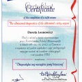 Powiększ obraz: certificate 3
