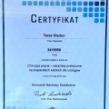Powiększ obraz: certificate 7