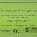 Powiększ obraz: certificate 2