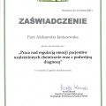 Powiększ obraz: certificate 13