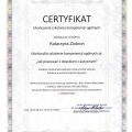 Powiększ obraz: certificate 5