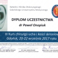 Powiększ obraz: certificate 8