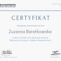 Powiększ obraz: certificate 5