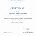 Powiększ obraz: certificate 23
