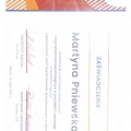 Powiększ obraz: certificate 2