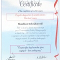 Powiększ obraz: certificate 4