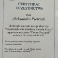 Powiększ obraz: certificate 2