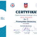 Powiększ obraz: certificate 6