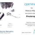 Powiększ obraz: certificate 12