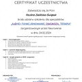 Powiększ obraz: certificate 11