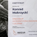 Powiększ obraz: certificate 6