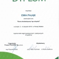 Powiększ obraz: certificate 13