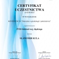 Powiększ obraz: certificate 3