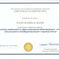Powiększ obraz: certificate 5