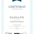 Powiększ obraz: certificate 8