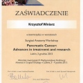 Powiększ obraz: certificate 29