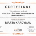 Powiększ obraz: certificate 8