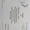 Powiększ obraz: certificate 2