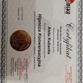Powiększ obraz: certificate 2