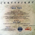 Powiększ obraz: certificate 11