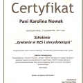 Powiększ obraz: certificate 13