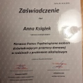Powiększ obraz: certificate 7