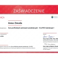 Powiększ obraz: certificate 3