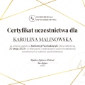 Powiększ obraz: certificate 33