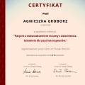 Powiększ obraz: certificate 2
