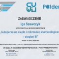 Powiększ obraz: certificate 9