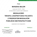 Powiększ obraz: certificate 3