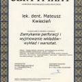 Powiększ obraz: certificate 6