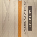 Powiększ obraz: certificate 3