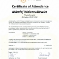 Powiększ obraz: certificate 8