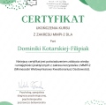 Powiększ obraz: certificate 5