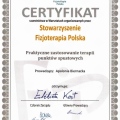 Powiększ obraz: certificate 8