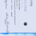 Powiększ obraz: certificate 39