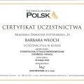Powiększ obraz: certificate 2