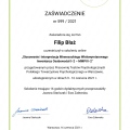Powiększ obraz: certificate 12