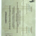 Powiększ obraz: certificate 25