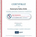 Powiększ obraz: certificate 8