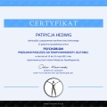 Powiększ obraz: certificate 2