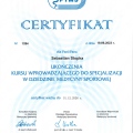 Powiększ obraz: certificate 2
