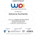 Powiększ obraz: certificate 11