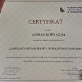 Powiększ obraz: certificate 4