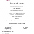 Powiększ obraz: certificate 3
