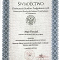 Powiększ obraz: certificate 2