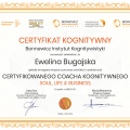 Powiększ obraz: certificate 3
